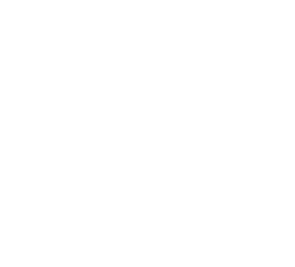 Niko's Pointers Saloon